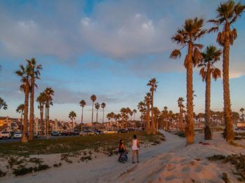 Westerly Shores California Coastal Beaches